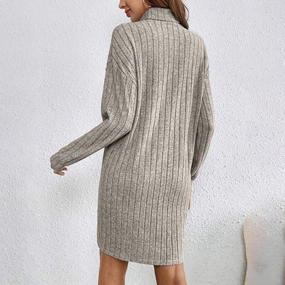 Women's Turtleneck Mini Dress - Slim Fit Long Sleeve Spring Fall Dress, Lightweight Basic